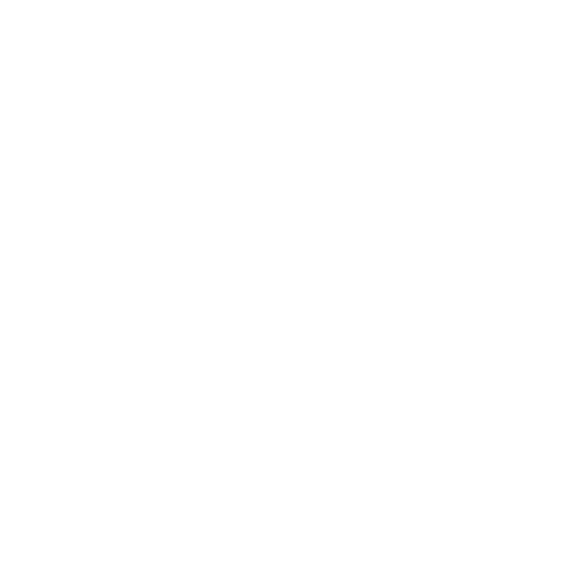 Shield Icon